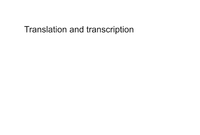 translate, transcript and proofread the project